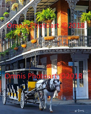 Yellow Carriage by Omni Dulin - Horse buggy Balcony New Orleans Dumaine Street floral brick